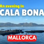 🌴 Descubre la mágica 🏖️ Cala Bona Mallorca: Un paraíso en las Islas Baleares