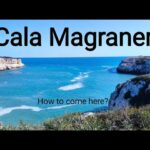 🔍🏝️ Descubre la increíble belleza de Cala Magraner: ¡El paraíso escondido en Mallorca!
