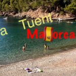 🌊 Descubre la mágica Cala Tuent: El paraíso escondido de Mallorca 🌴