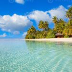 🌴 Descubre la encantadora historia de la 🌴 Garita Palmera: Un paraíso tropical en tus vacaciones 🏝️