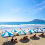 🌴 Descubre las maravillas de Playa Manzanillo: ¡El paraíso tropical que debes visitar!