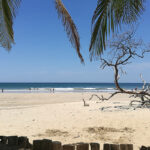 🌴🏖️ ¡Descubre la mágica belleza de Playa Avellanas! Todo lo que necesitas saber