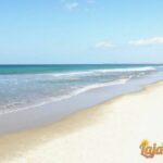 🏖️ Descubre la maravilla de la Playa de la Barrosa: ¡El paraíso del sol y la arena!