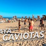 🏖️ Descubre el paraíso de las Gaviotas Playa: ¡El destino perfecto para relajarse junto al mar!