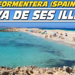 🏖️ Descubre la 🌴 playa de Ses Illetes: un paraíso en el mediterráneo 🌊