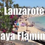 🌴🔥 ¡Descubre los secretos de Playa Flamingo y enamórate de su paradisiaco encanto!