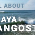 🏖️ Descubre la encantadora belleza de la #PlayaLangosta: Un paraíso tropical esperándote 🌴