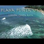 🌴 Playa Punta Uva: ¡El paraíso caribeño que debes visitar! 🏖️